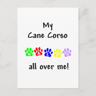 Mein Cane Corso geht durch mich Postkarte