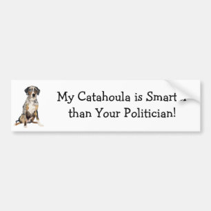 Mein Catahoula ist intelligenter als Ihr Politiker Autoaufkleber