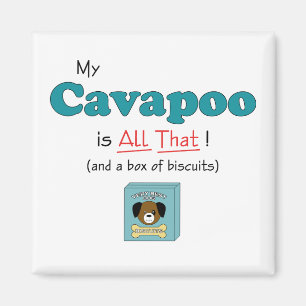 Mein Cavapoo ist alles das! Magnet