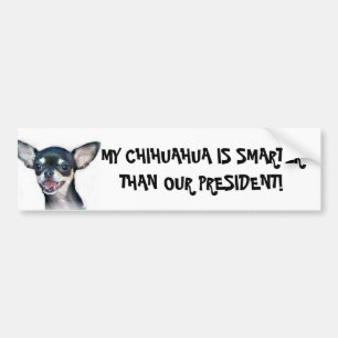 Mein Chihuahua ist intelligenterer Autoaufkleber