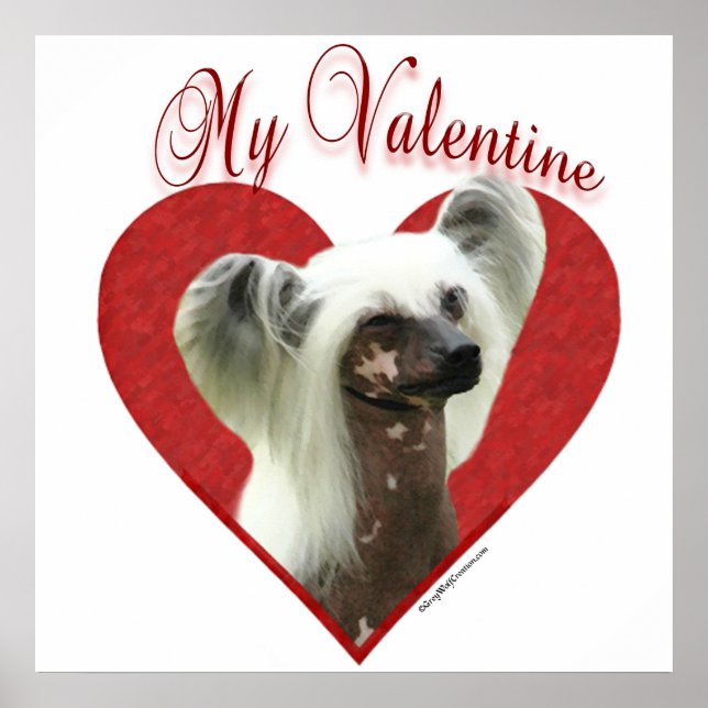 Mein Chinesisch Crested Valentine Poster (Vorne)