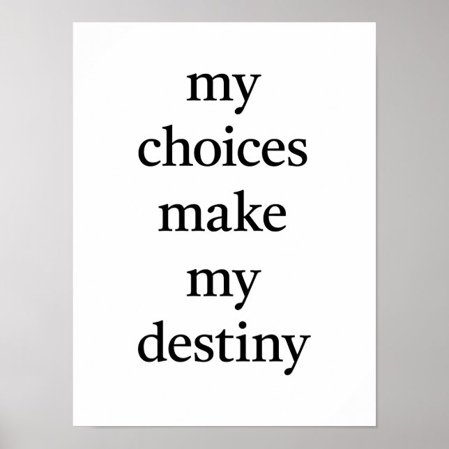 Mein Destiny Poster (Vorne)