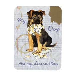 Mein deutscher Hirte hat meinen Lektionsplan geles Magnet