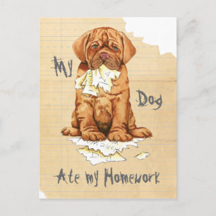 Mein Dogue de Bordeaux hat meine Hausaufgaben Postkarte