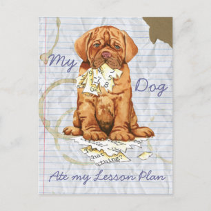 Mein Dogue de Bordeaux hat meinen Lektionsplan Postkarte