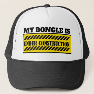 MEIN DONGLE IST IM AUFBAU TRUCKERKAPPE