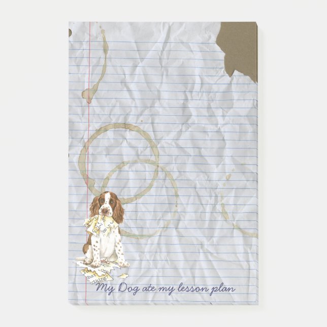 Mein englischer SpringerSpaniel aß meinen Post-it Klebezettel (Vorderseite)