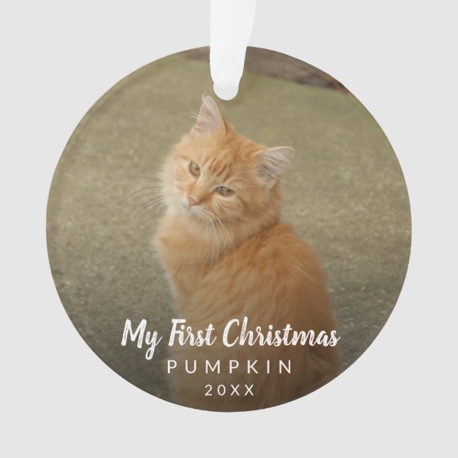 Mein erstes Weihnachtskhalk-Script-Cat-Foto Ornament (Vorderseite)