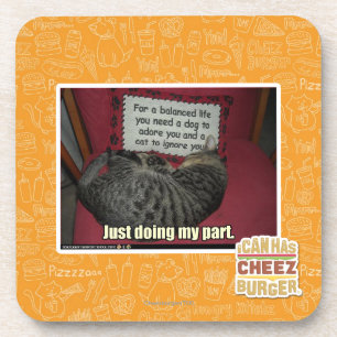 Mein Fach gerade tun Getränkeuntersetzer