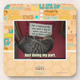 Mein Fach gerade tun Getränkeuntersetzer