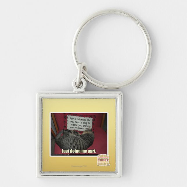 Mein Fach gerade tun Schlüsselanhänger (Vorne)