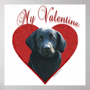 Mein flach beschichteter Retriever Valentine Poster