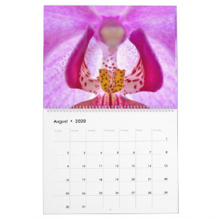 Mein Fower-Kalender Kalender