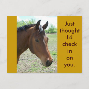 Mein Freund, das Pferd Postkarte