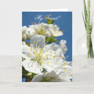 Mein Freund! Gruß-Karten-Frühlings-Kirschblüten Karte