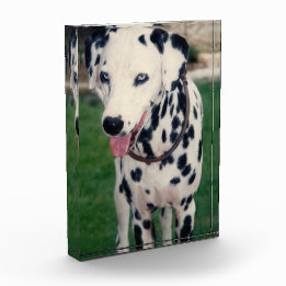 Mein Freund lädt Ihre eigene, eigene, benutzerdefi Fotoblock