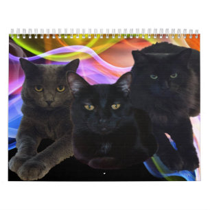 Mein Freund-Trio Kalender