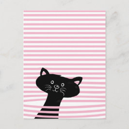 Mein Freund von Purr Fect! Niedliches Cat-Klassenz Postkarte