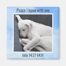 Mein Frieden, den ich dir Bible Verse Dog in Blue 