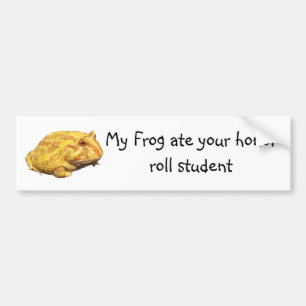 Mein Frosch hat deinen Ehrenschüler gekürt Autoaufkleber