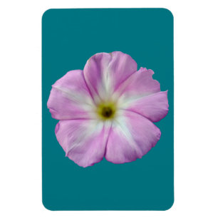 Mein Gemälde der schönen Blume mit einer unfreundl Magnet