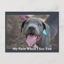 Mein Gesicht, wenn ich Sie Niedliche Welpenpostkar Postkarte