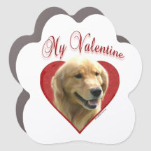 Mein Goldener Retriever Valentine