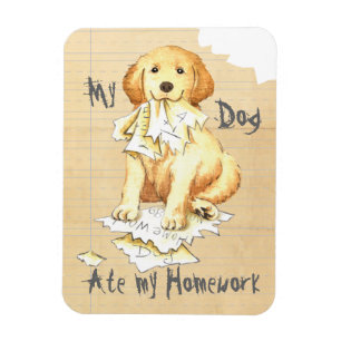 Mein Goldenes aß meine Hausaufgaben Magnet