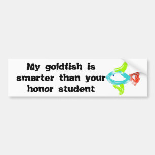 Mein Goldfisch ist intelligenter als Ihr Autoaufkleber