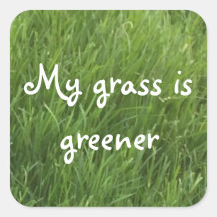 Mein Gras ist grüne Aufkleber