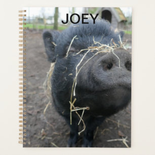 Mein Haustier Schwein. Planer