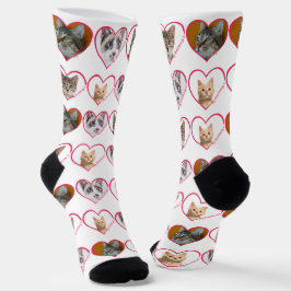 Mein Herz gehört zu Personalisierten 4 Katzen Foto Socken