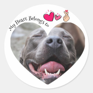 Mein Herz gehört zu Pitbull Hundin-Foto Runder Aufkleber