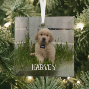 Mein Hund Foto Weihnachten Ornament Aus Glas
