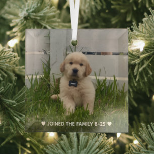 Mein Hund Foto Weihnachten Ornament Aus Glas