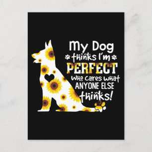 Mein Hund glaubt, ich bin perfekte Päuse Postkarte