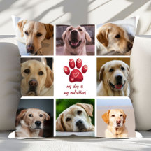 Mein Hund ist mein Hund 8 Fotos Valentine