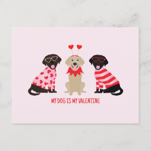 Mein Hund ist mein Valentine Labrador Retriever Hu Postkarte