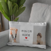 Mein Hund ist mein Valentine | Zwei Hunde - Fotos