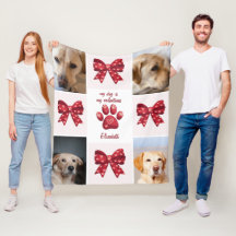 Mein Hund ist mein Valentiner, der 4 Fotos verbrau