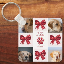 Mein Hund ist mein Valentiner, der 4 Fotos verbrau