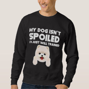 Mein Hund ist nicht verwundet, ich bin gut trainie Sweatshirt