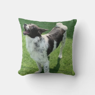 Mein Hund Kissen