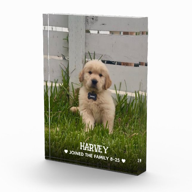 Mein Hunde-Foto Fotoblock (Rechts)