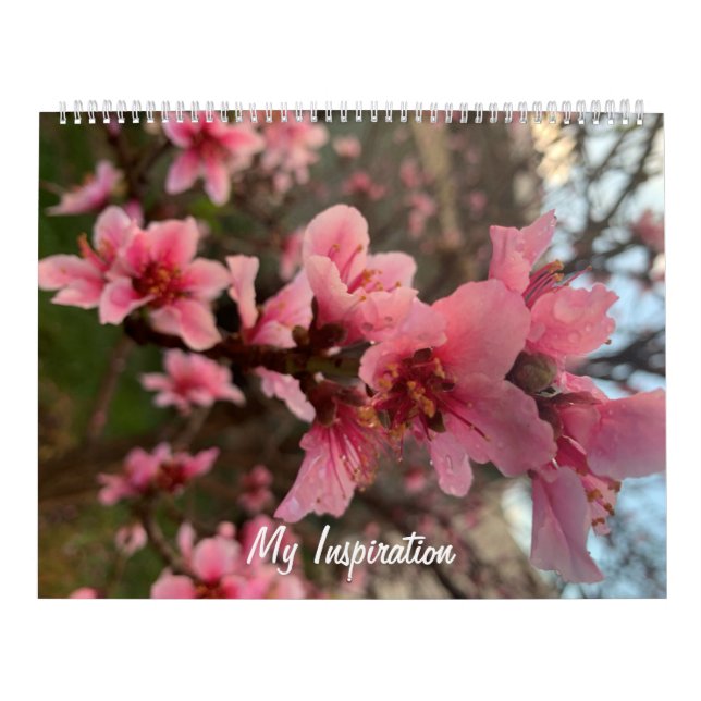 Mein Inspirationskalender Kalender (Titelbild)