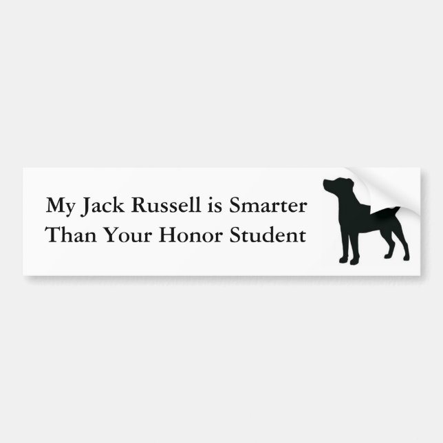 Mein Jack Russell ist intelligenter als Ihr Autoaufkleber (Vorne)