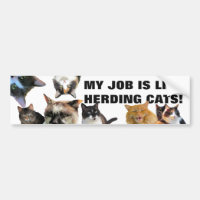 mein Job IST wie das In Herden leben der Katzen!