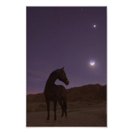 Mein Junge Lieben den Mond Fotodruck