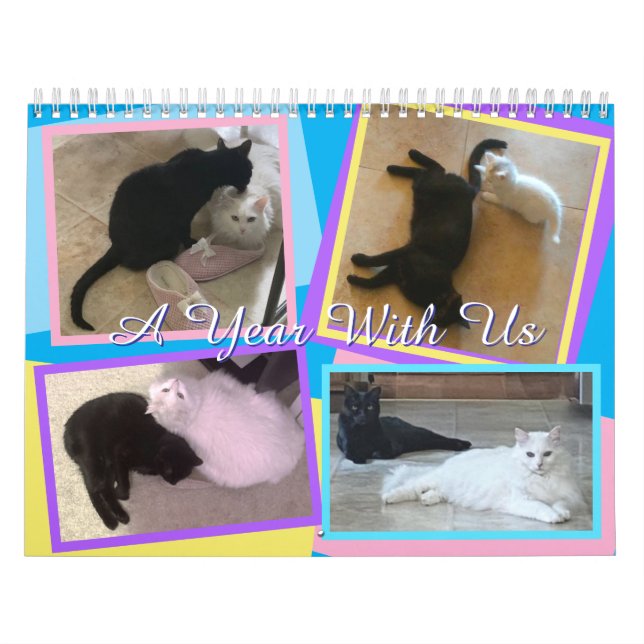 Mein Katzen Kalender (Titelbild)