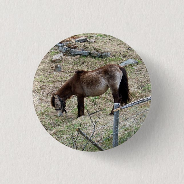 Mein kleiner Pony-Knopf Button (Vorderseite)